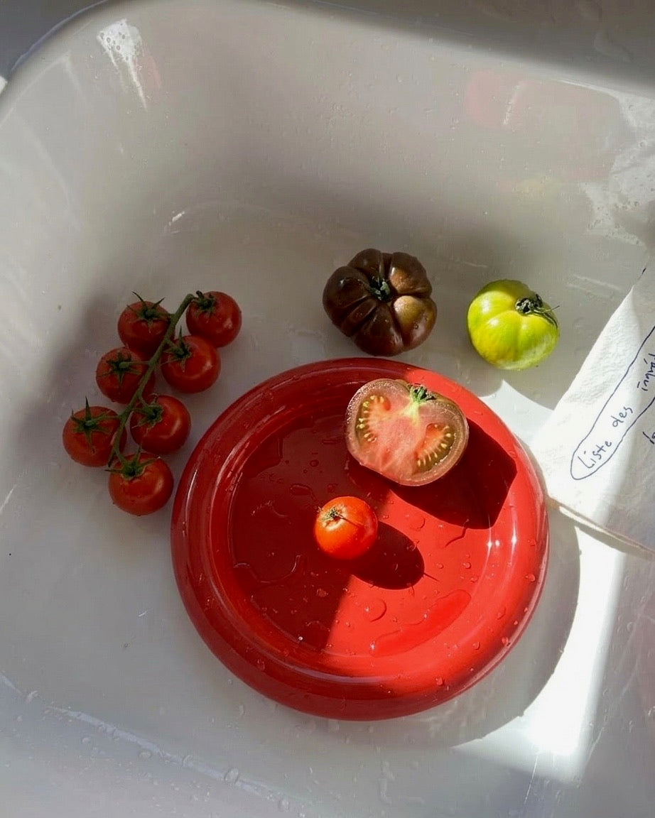 Pastelito Plate - Red