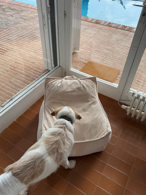 Canela Bed - Beige